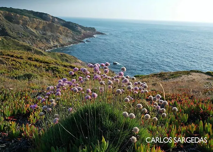 Διαμέρισμα Blue Lighthouse Σεσίμπρα